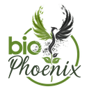 Biochar: A Natural Warrior Against Plant Diseases